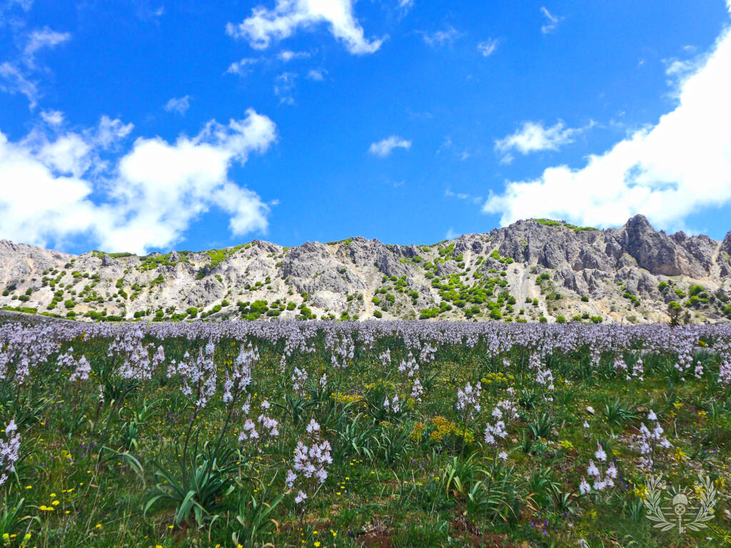 Parco delle Madonie